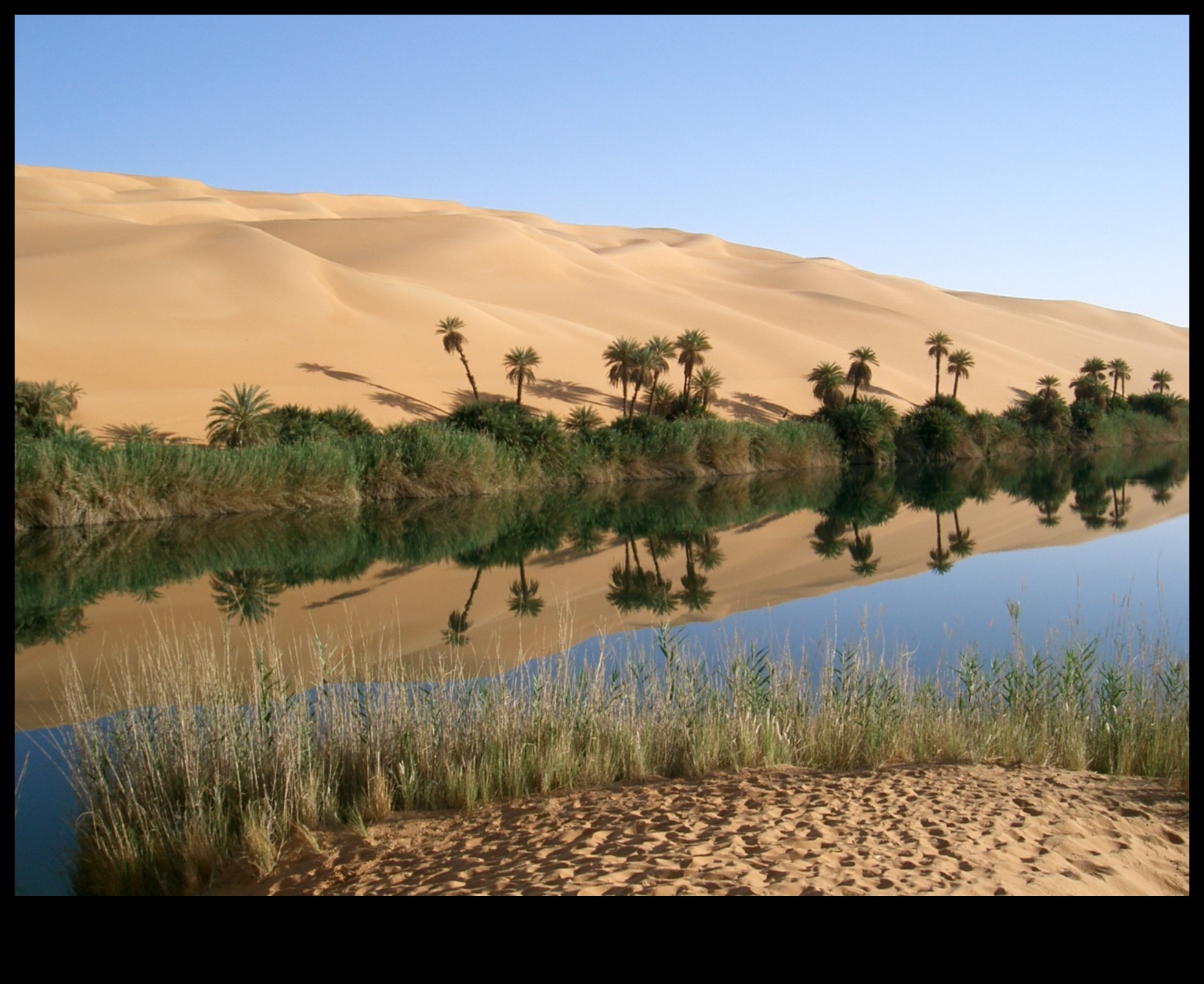 Aduceți oaza deșertului în interior 3 Decor oază în deșert pentru o casă liniștită