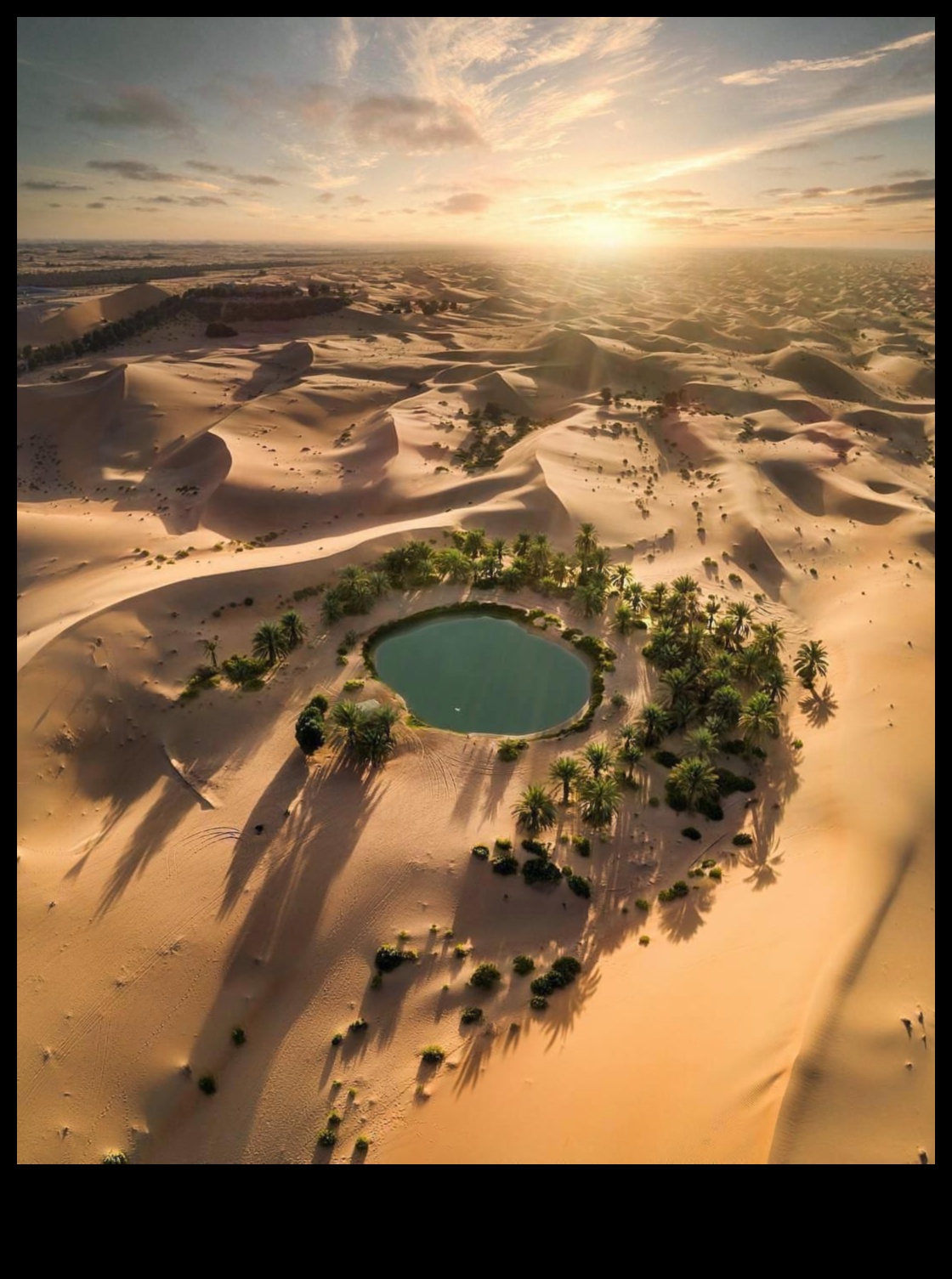 Aduceți oaza deșertului în interior 4 Decor oază în deșert pentru o casă liniștită