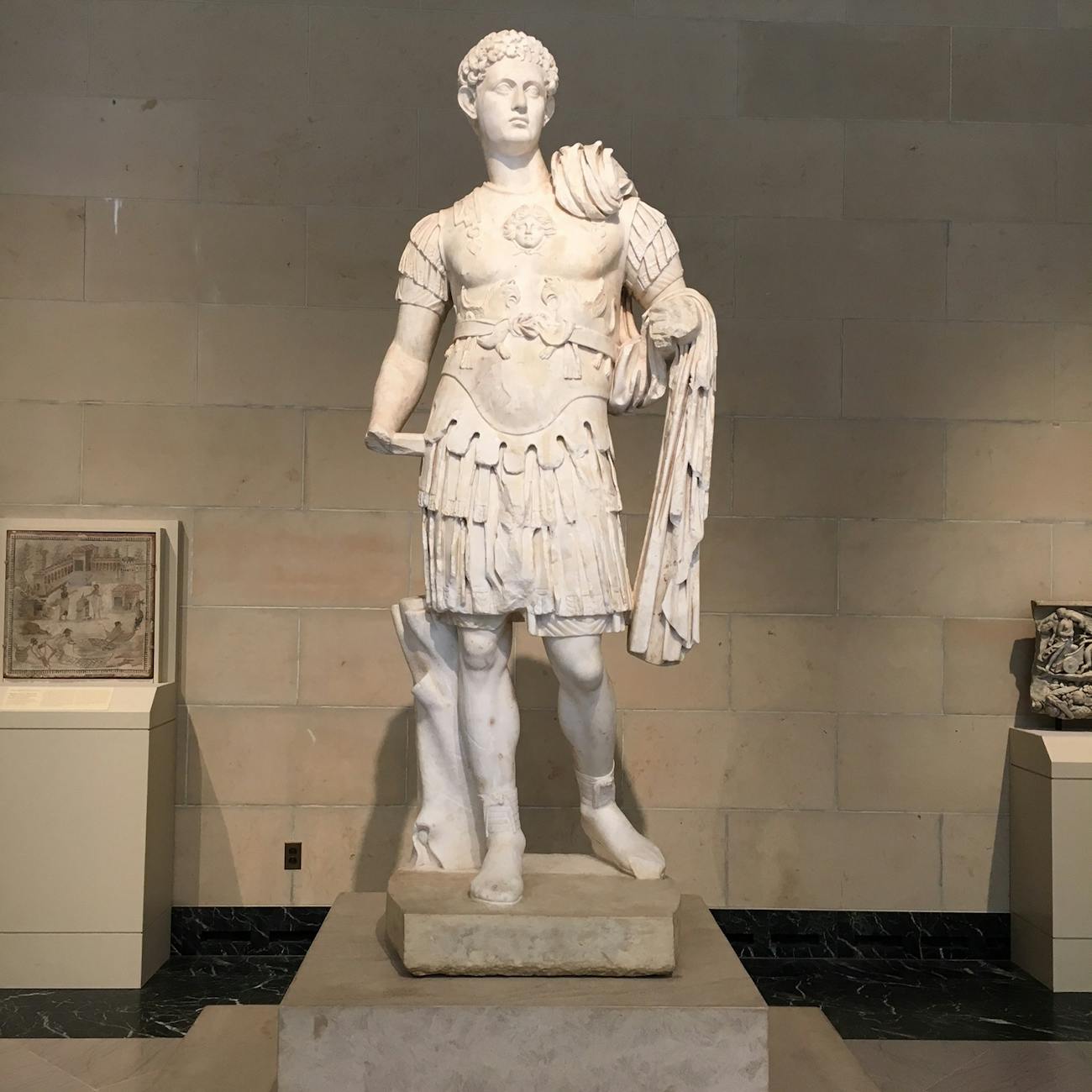 Bring the Wild Inside 10 pexels fotografie 1028683