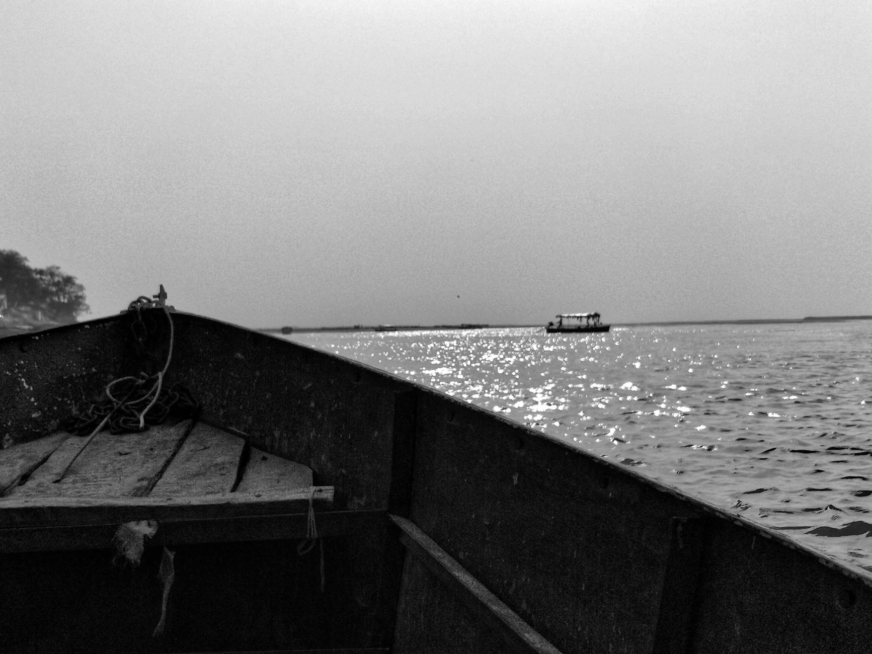 Bring the Wild Inside 9 pexels fotografie 1269682