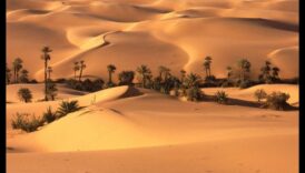 Decor oază în deșert pentru o casă liniștită