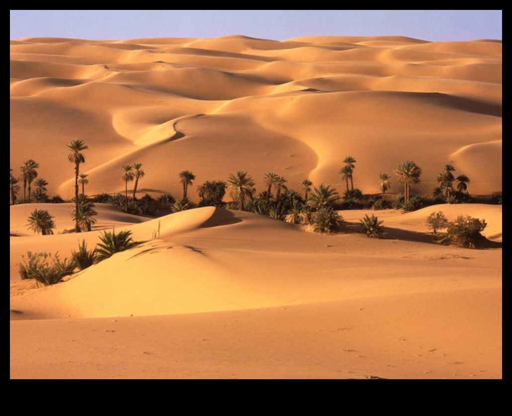 Aduceți oaza deșertului în interior 2 Decor oază în deșert pentru o casă liniștită