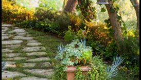 Priveliste supra grădină în aer autonom 10 sfaturi simple 4 Sfaturi pentru decorarea grădinii în aer liber