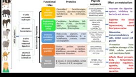 Formule de pulbere: ce ingrediente fac cele mai performante produse?