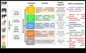 Formule de pulbere: ce ingrediente fac cele mai performante produse?