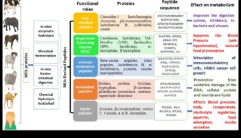Formule de pulbere: ce ingrediente fac cele mai performante produse?