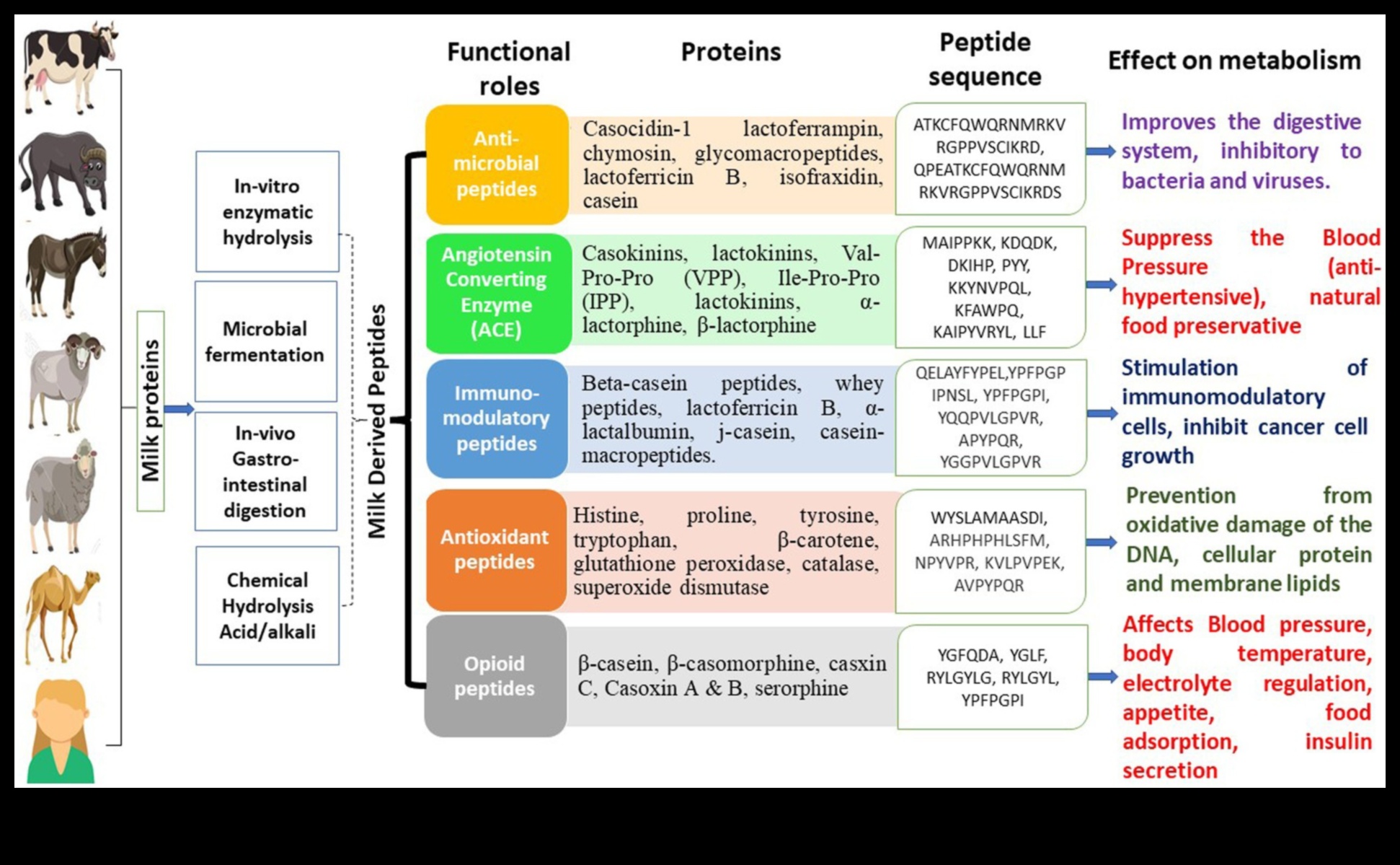 Formule de pulbere: ce ingrediente fac cele mai performante produse?